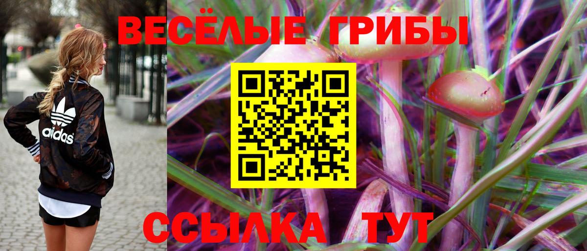 Советск  Галлюциногенные грибы прущие грибы  Вход с VPN 